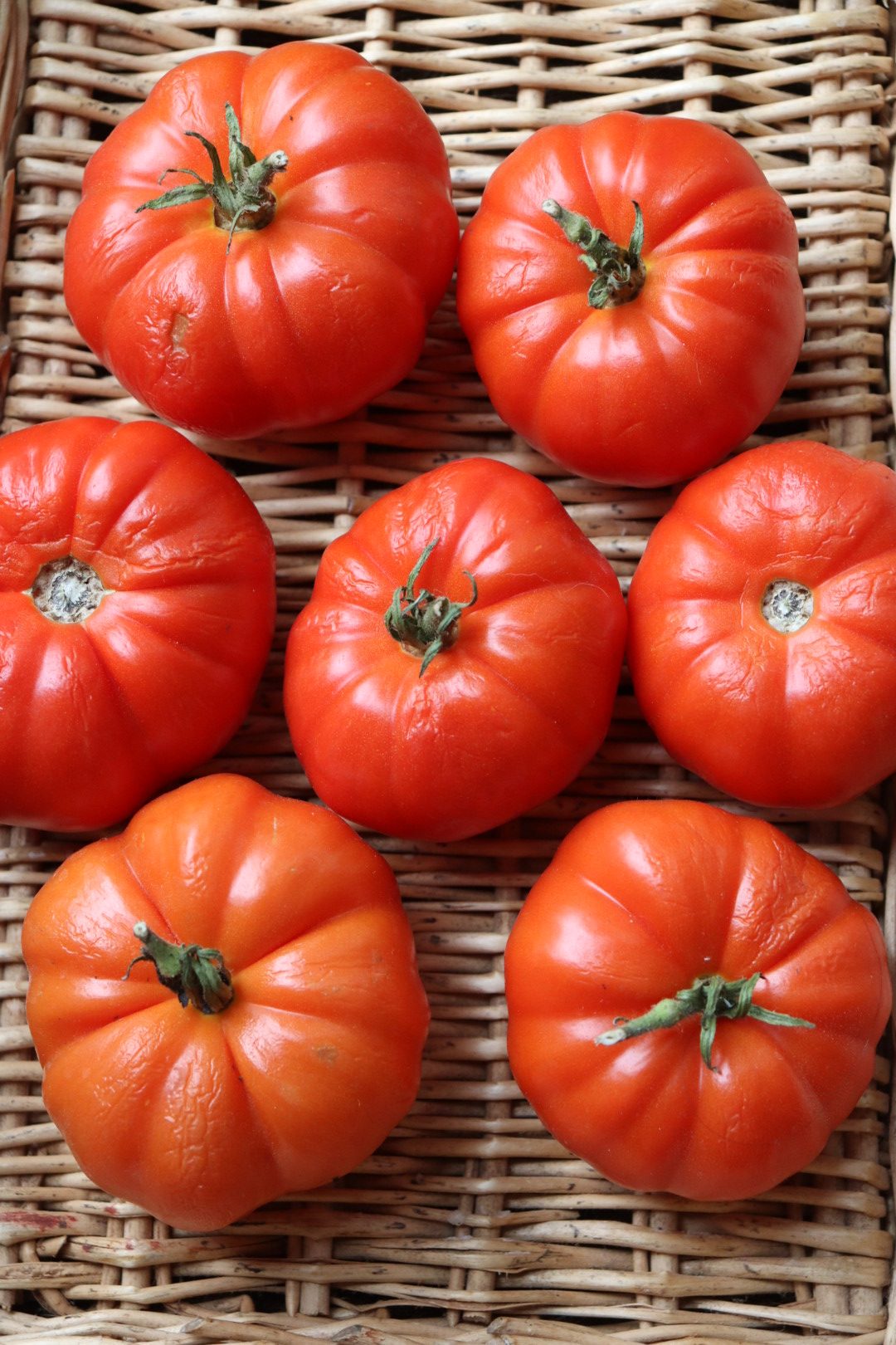 Easy Homemade Tomato Sauce Using Homegrown Tomatoes